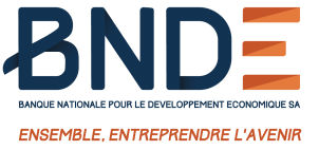 logo-BNDE 1